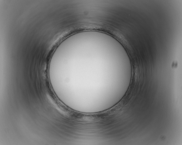 X0000113640490200909181332