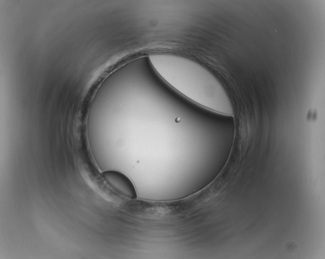 X0000113640492200909181332