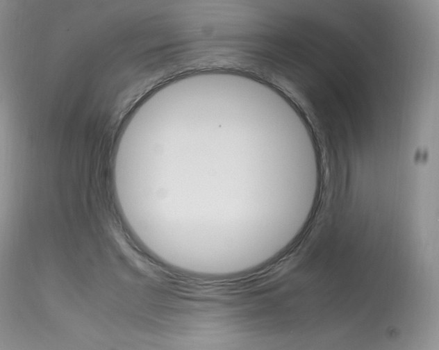 X0000113640493200909181332