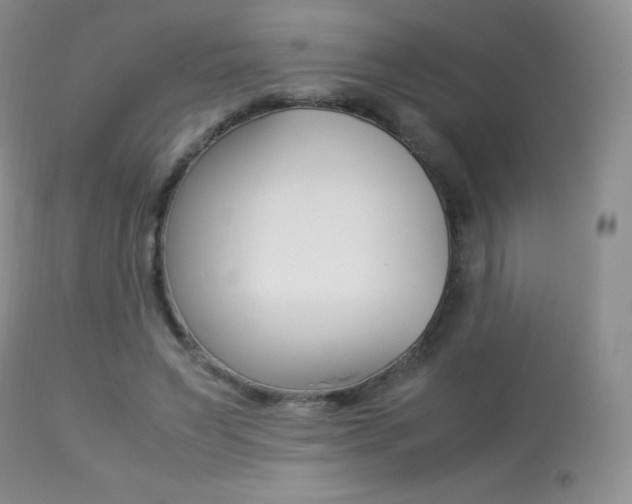 X0000113640495200909181332