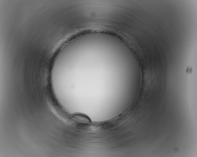X0000113640496200909181332