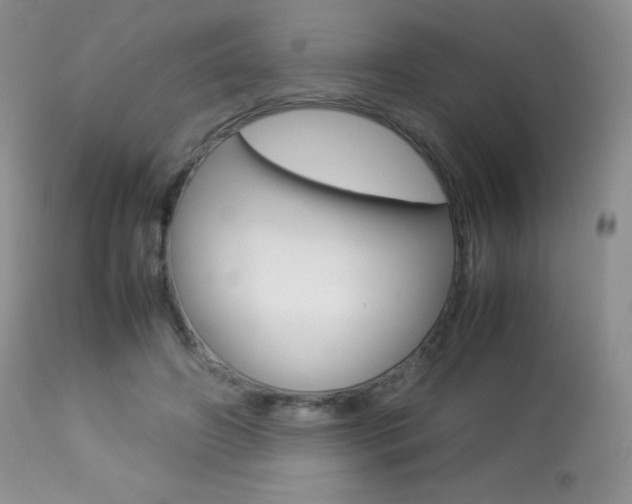 X0000113640498200909181332