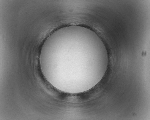 X0000113640499200909181332