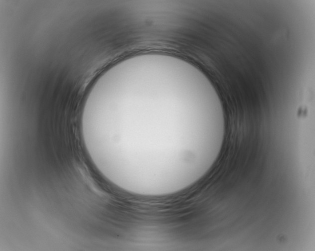X0000113640500200909181332