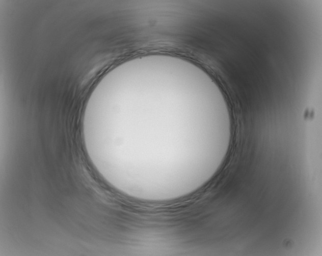 X0000113640501200909181332