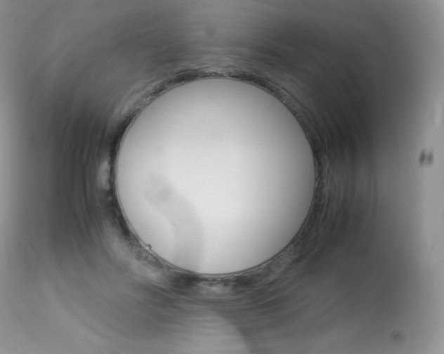 X0000113640502200909181332