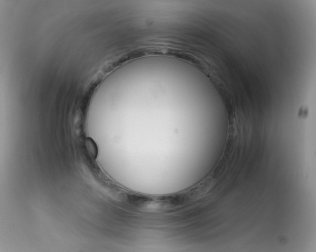 X0000113640504200909181332