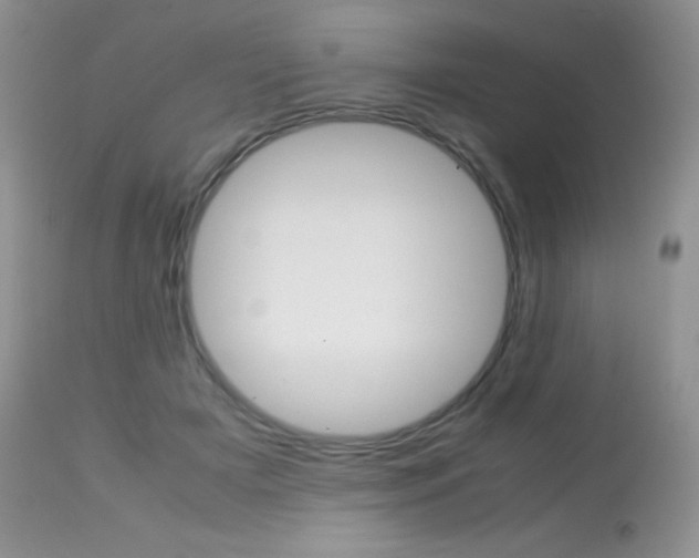 X0000113640505200909181332