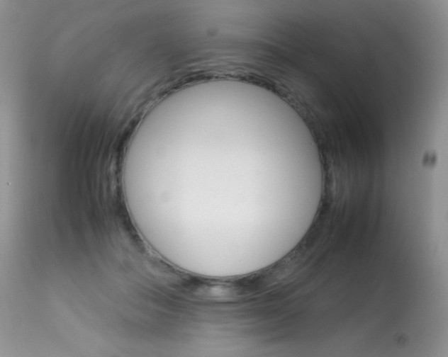 X0000113640506200909181332