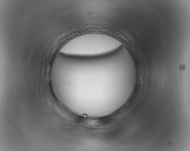 X0000113640507200909181332