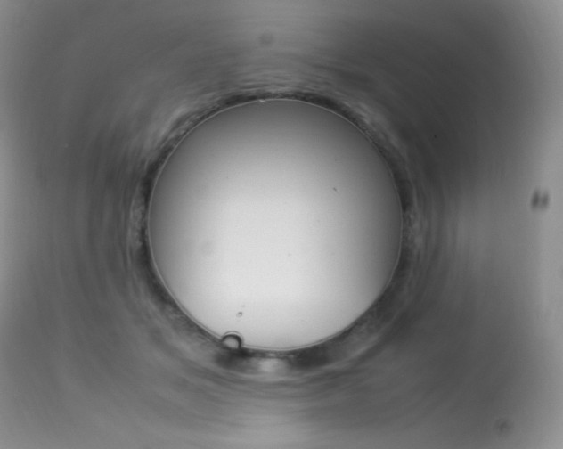 X0000113640509200909181332