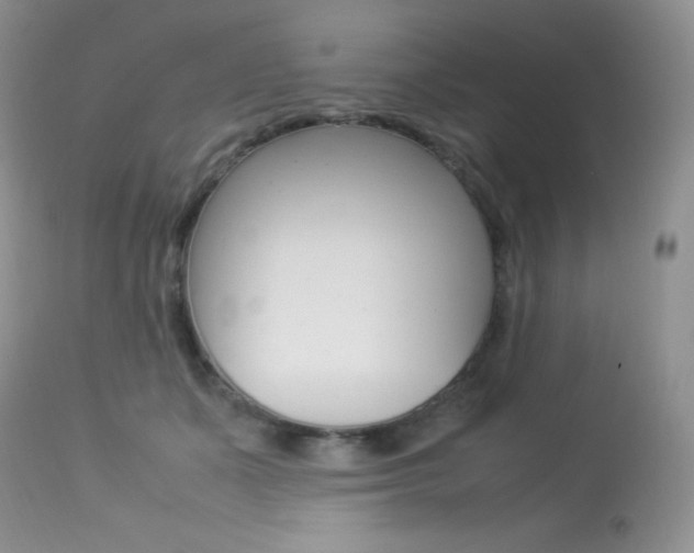 X0000113640511200909181332