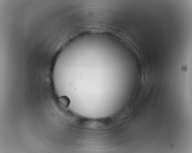 X0000113640512200909181332