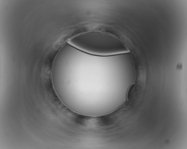X0000113640513200909181332