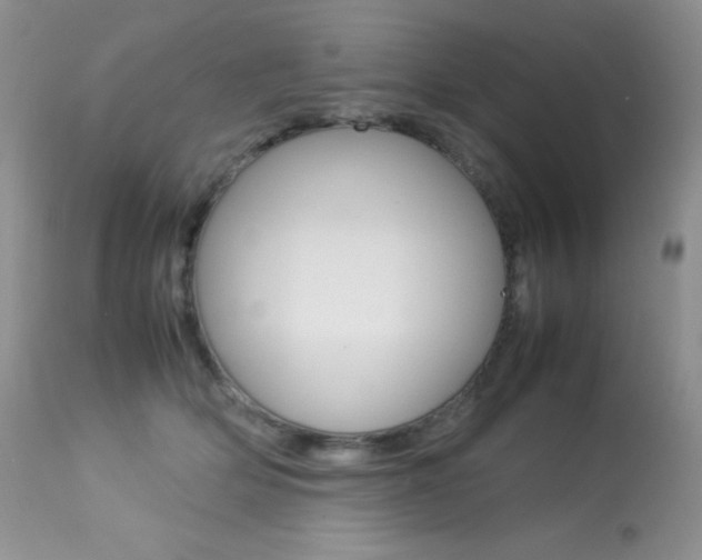 X0000113640514200909181332