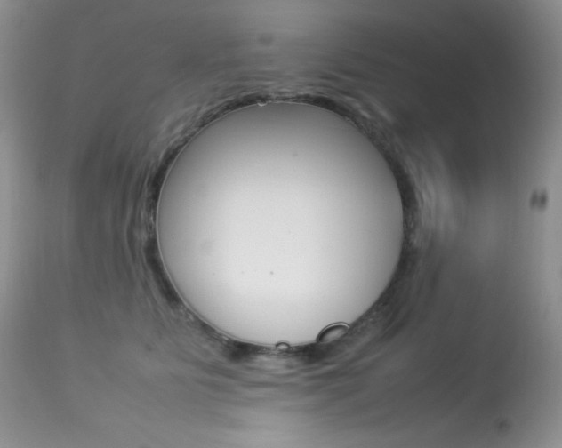 X0000113640515200909181332