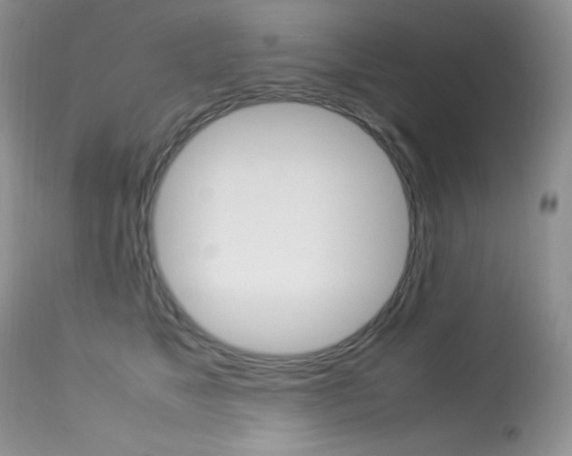 X0000113640517200909181332
