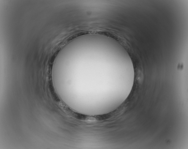 X0000113640519200909181332