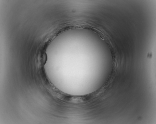 X0000113640520200909181332
