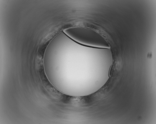 X0000113640521200909181332