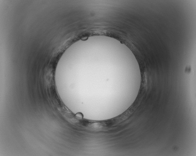 X0000113640522200909181332
