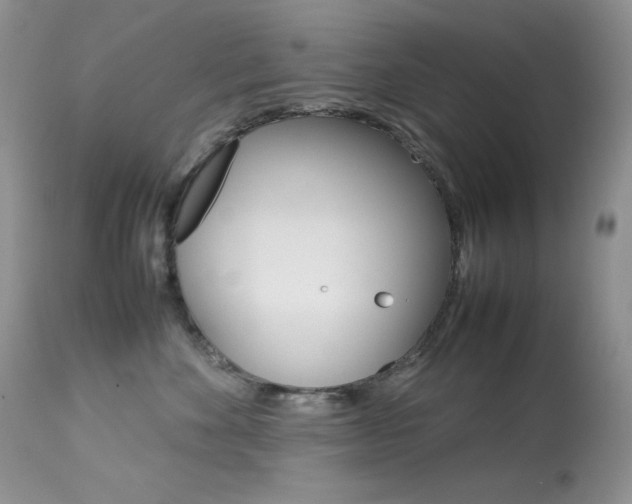 X0000113640524200909181332