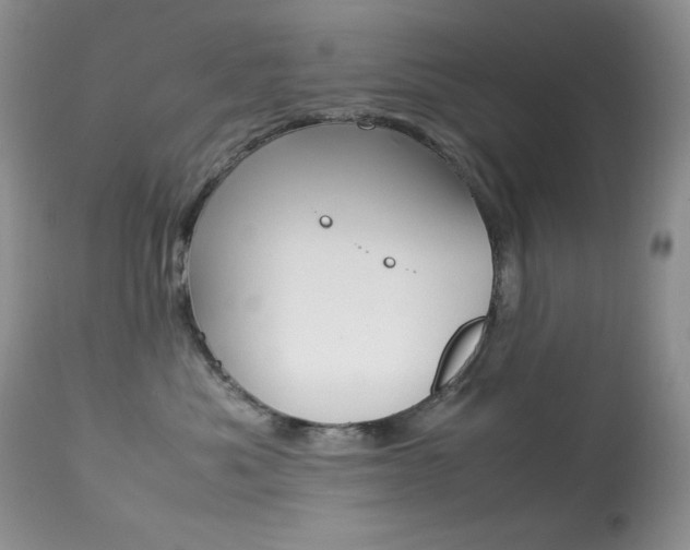 X0000113640525200909181332