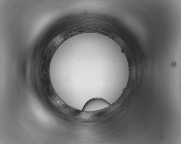X0000113640526200909181332