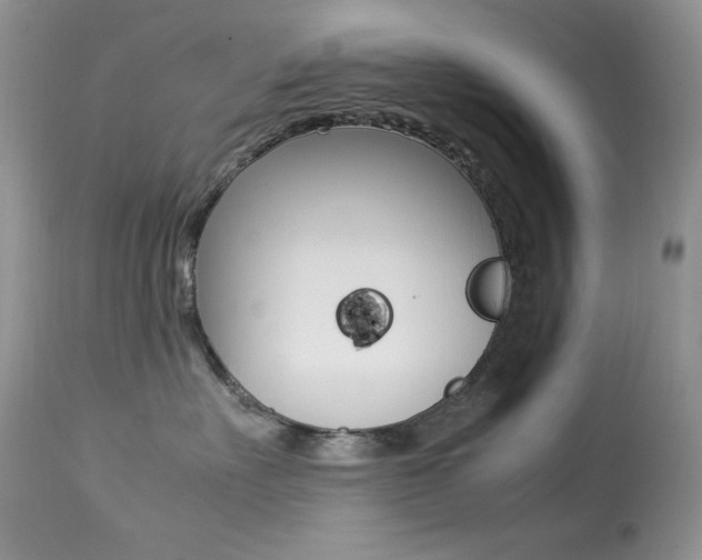 X0000113640527200909181332
