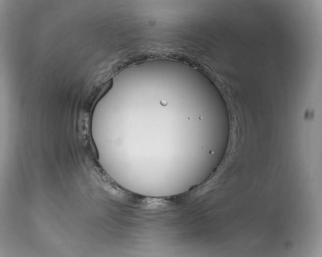 X0000113640528200909181332