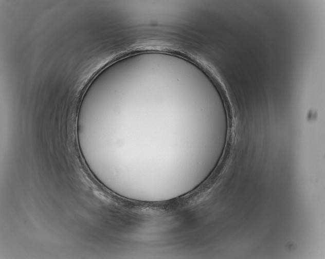X0000113640529200909181331