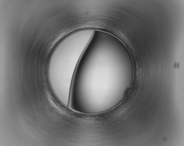 X0000113640530200909181331