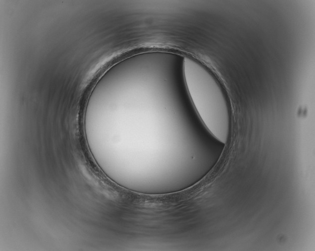 X0000113640531200909181331