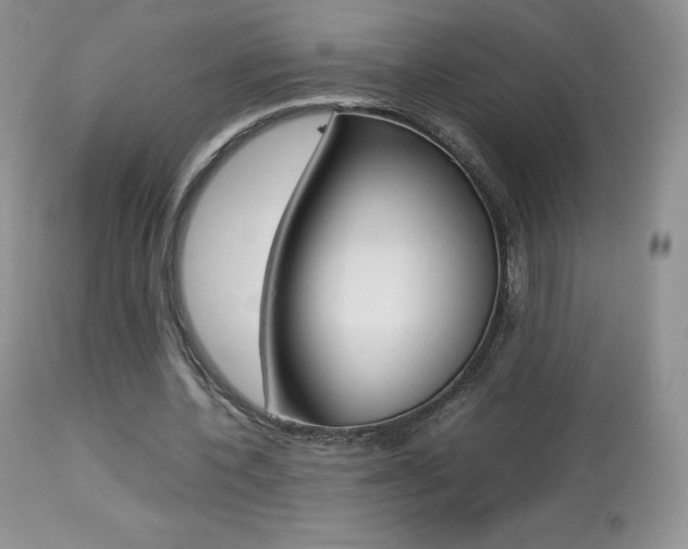 X0000113640532200909181331
