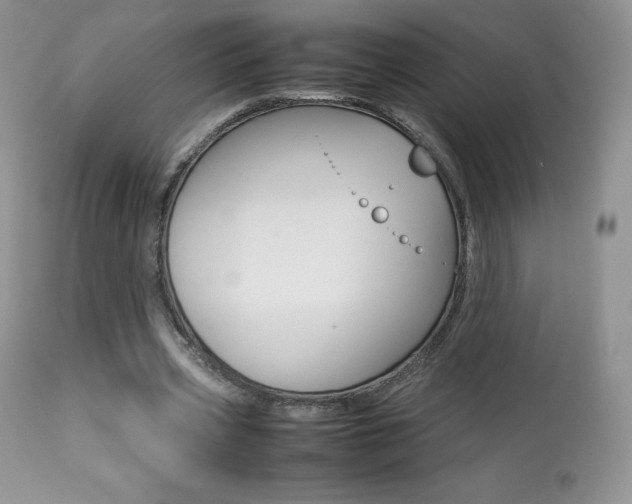 X0000113640533200909181331
