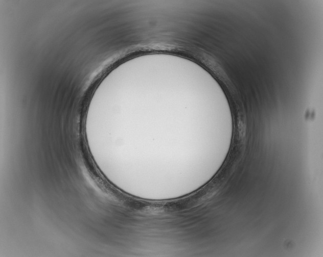 X0000113640534200909181331