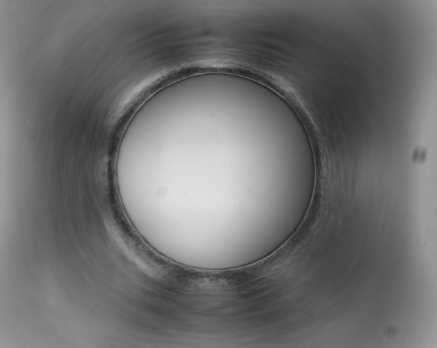 X0000113640535200909181331