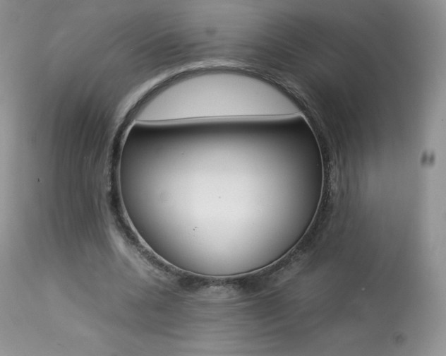 X0000113640536200909181331