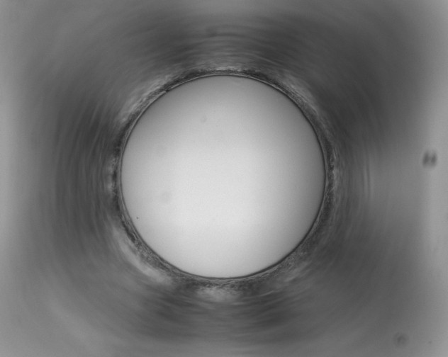 X0000113640537200909181331