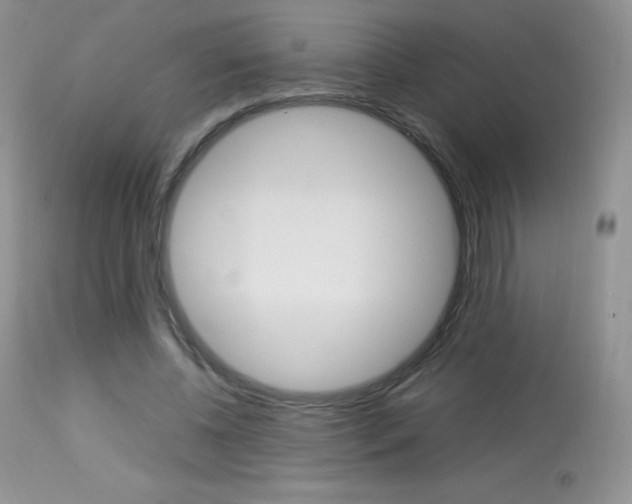X0000113640540200909181331