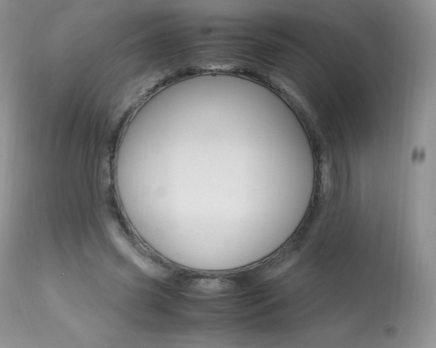 X0000113640541200909181331