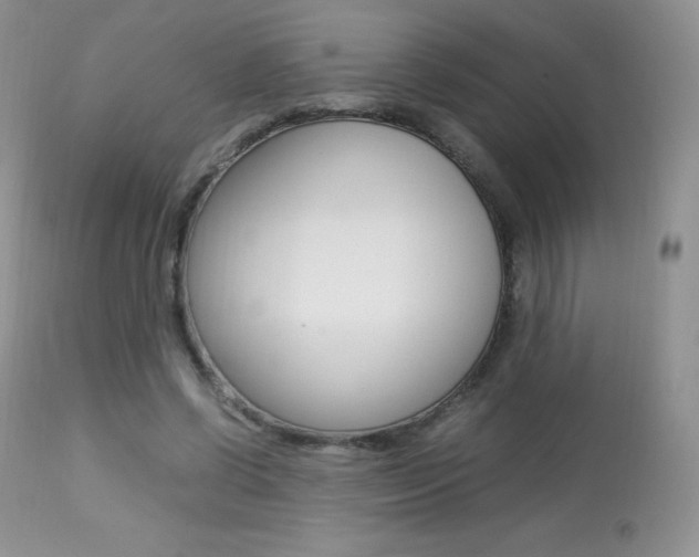 X0000113640542200909181331
