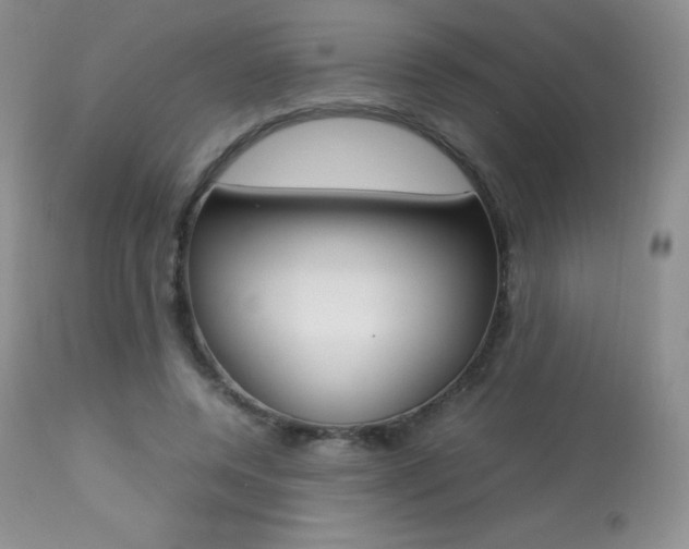 X0000113640544200909181331