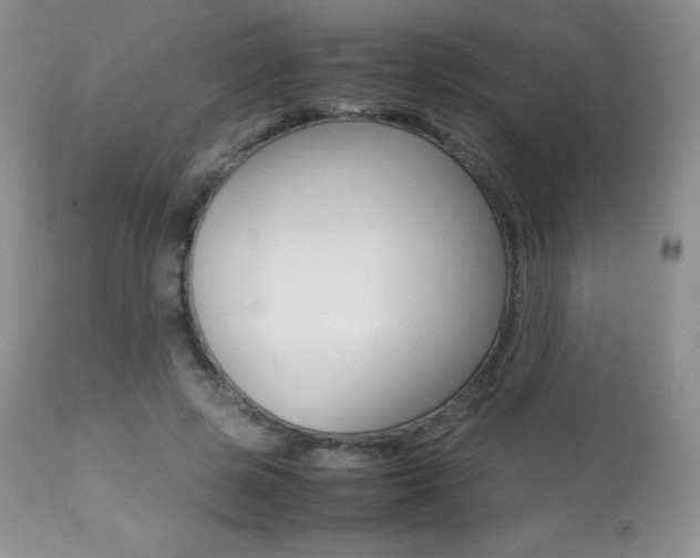 X0000113640545200909181331