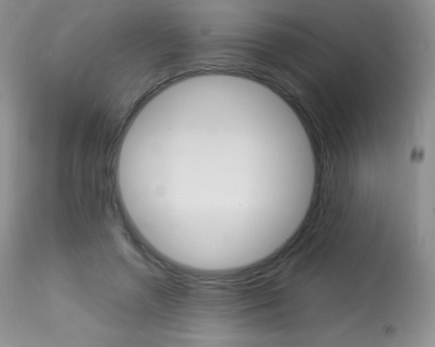 X0000113640546200909181331