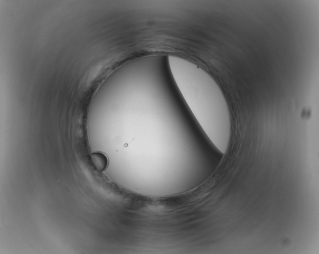 X0000113640547200909181331