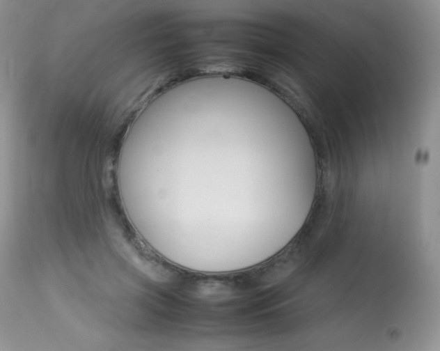 X0000113640549200909181332
