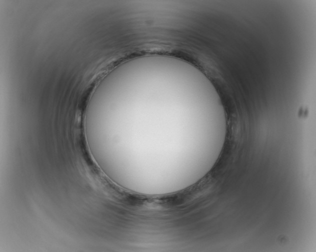 X0000113640550200909181332