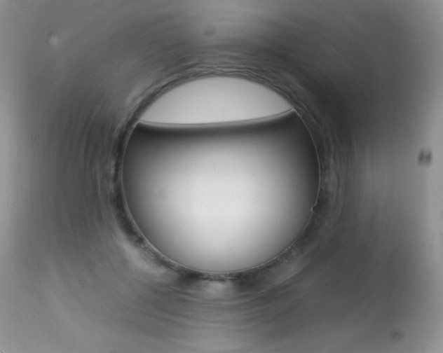 X0000113640552200909181332