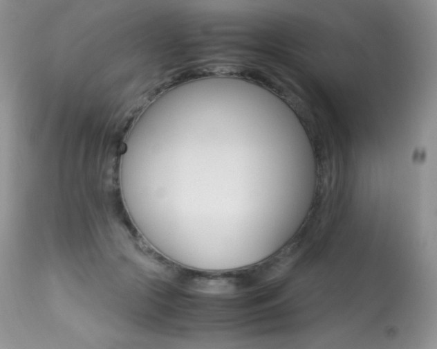 X0000113640553200909181332